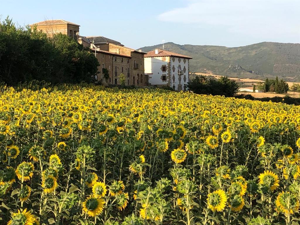Casa Rural La Sacristana Lacar Екстериор снимка